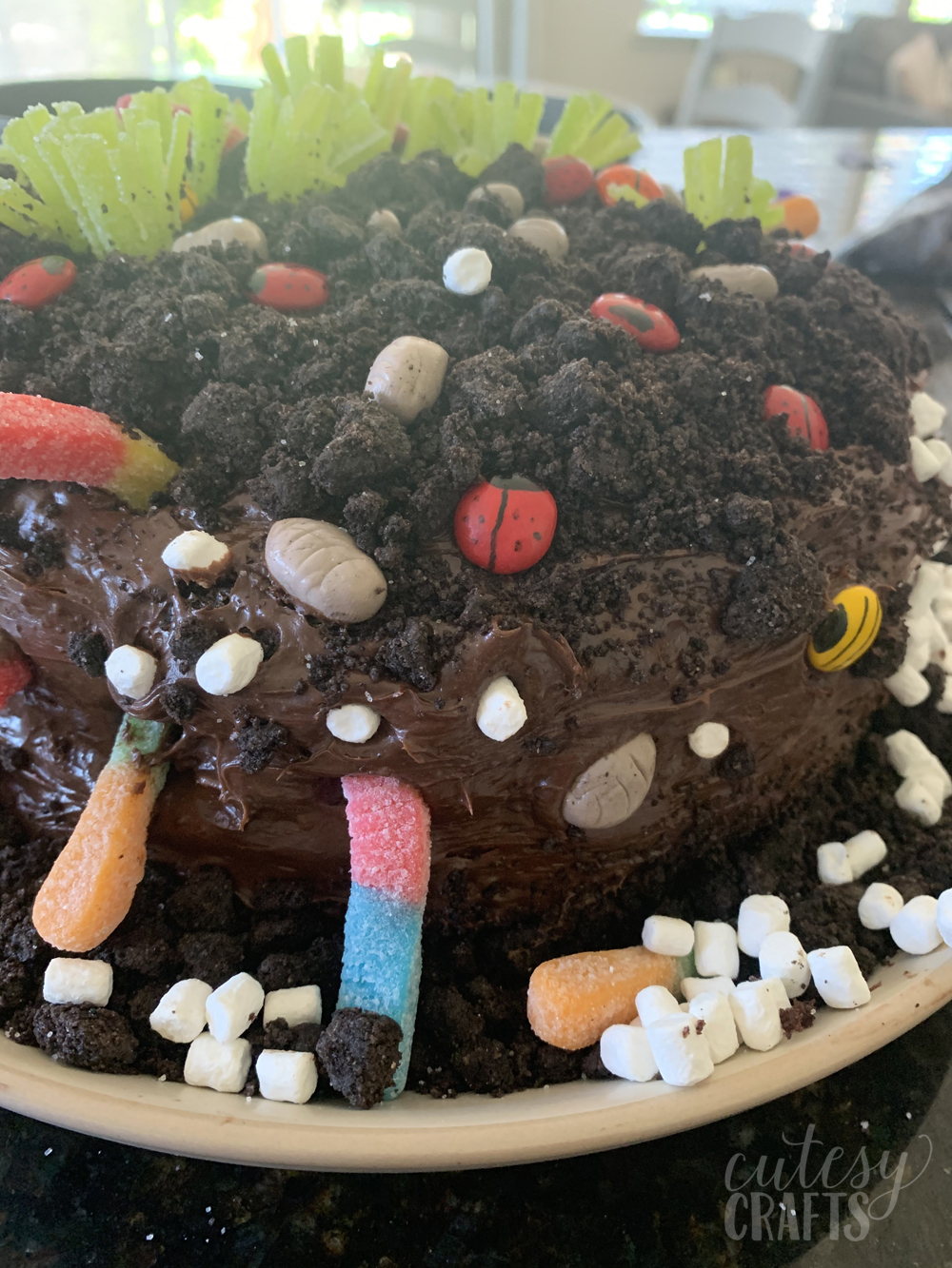 Easy DIY Bug Birthday Cake