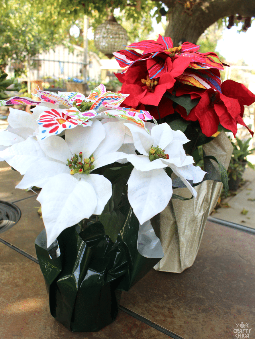 mexi-style-poinsettias6